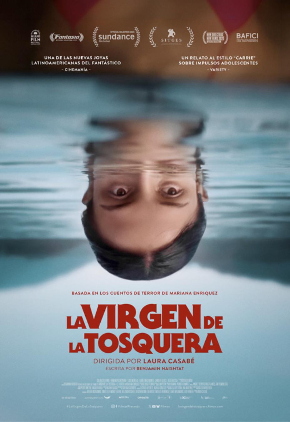 LA VIRGEN DE LA TOSQUERA